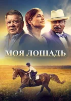 Моя лошадь смотреть онлайн (2016)