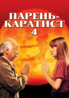 Парень каратист 4 смотреть онлайн (1994)